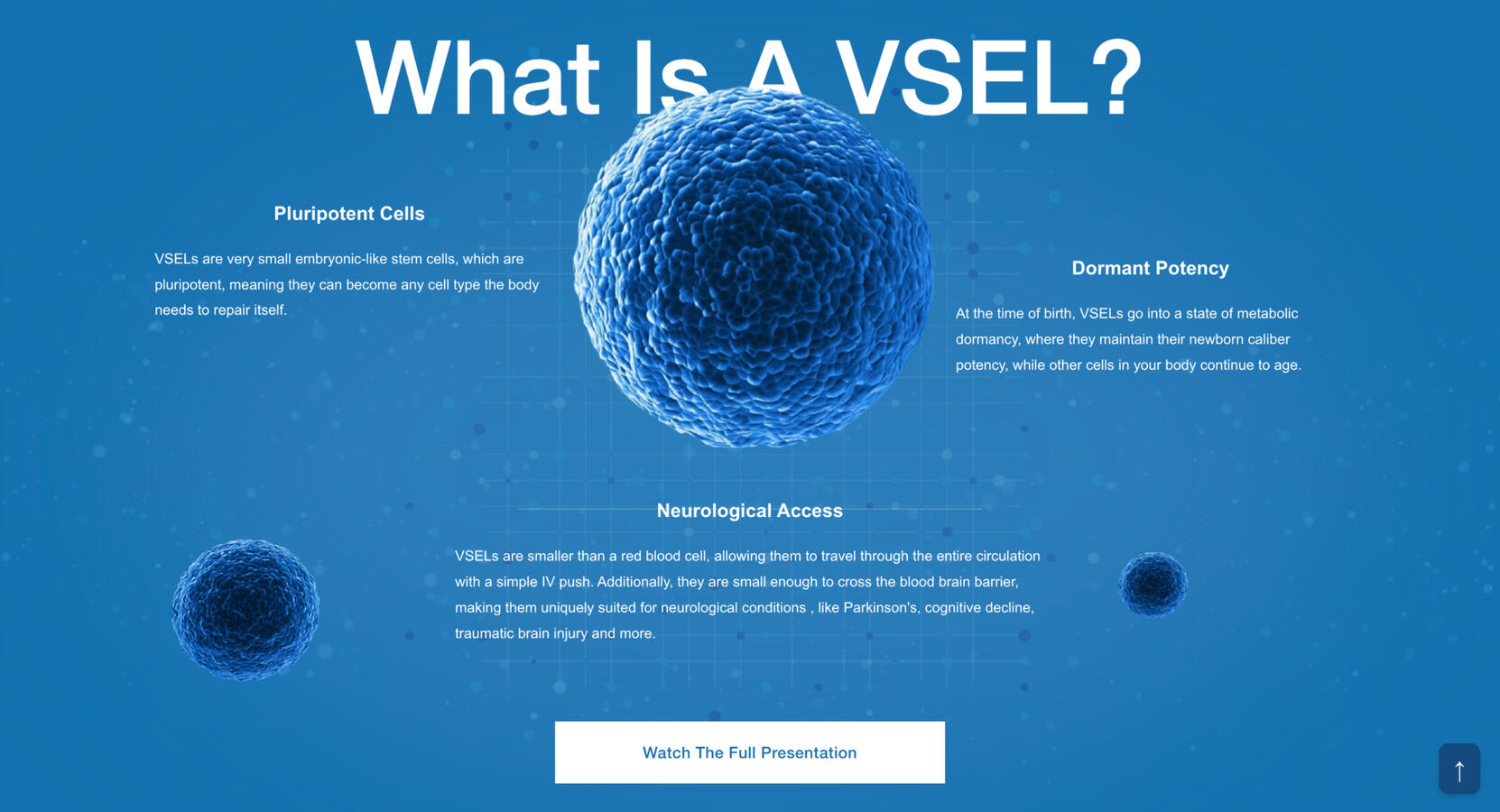 VSEL Therapy Website